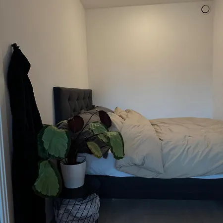 Modern Three-room Apartment, Private Terrace And Roof Terrace Apartment *