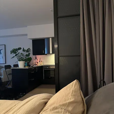 Modern Three-room Apartment, Private Terrace And Roof Terrace Apartment