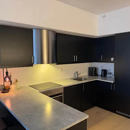 Modern Three-room Apartment, Private Terrace And Roof Terrace * تروندهايم